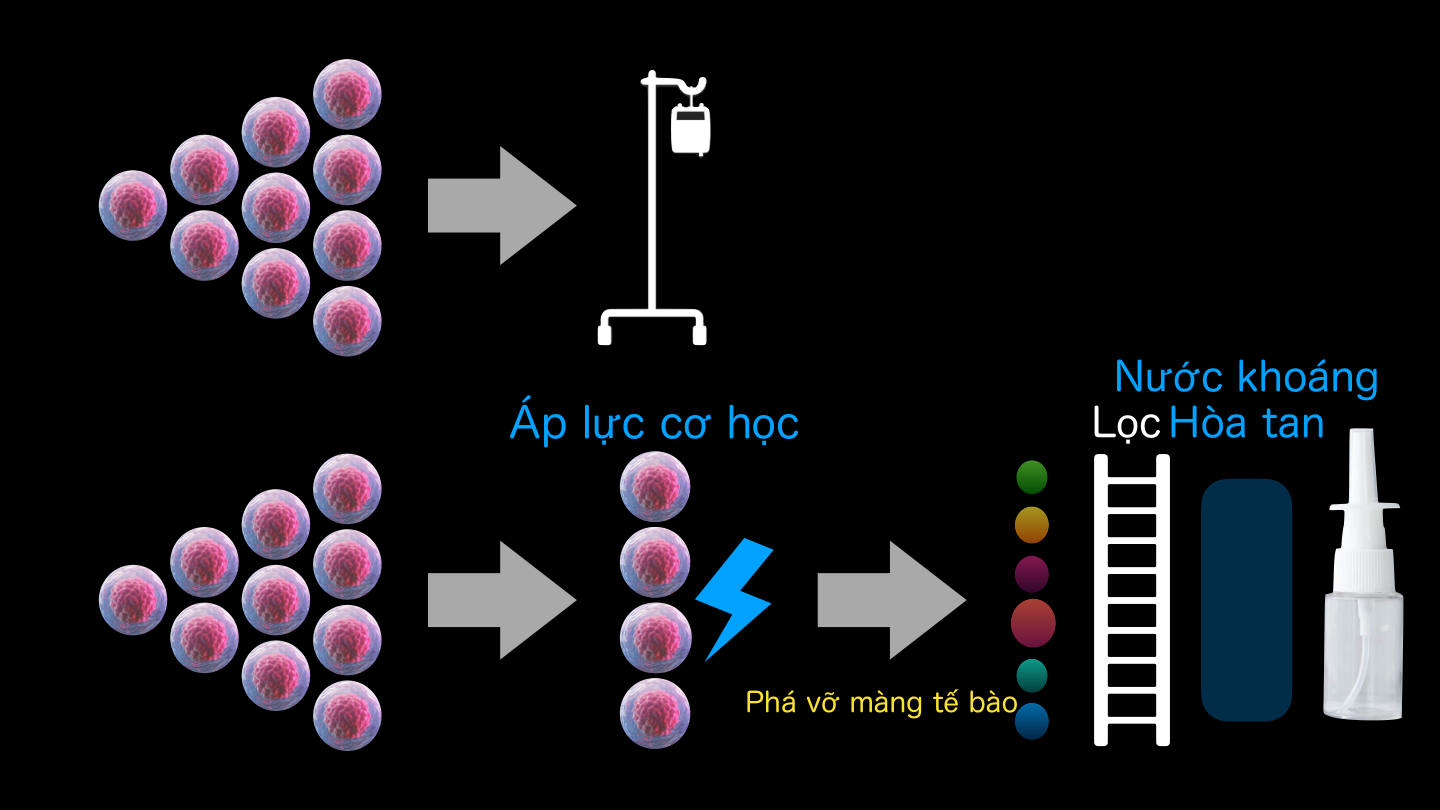 Quy Trình Phá Vỡ Màng Tế Bào Bằng Áp Lực Cơ Học